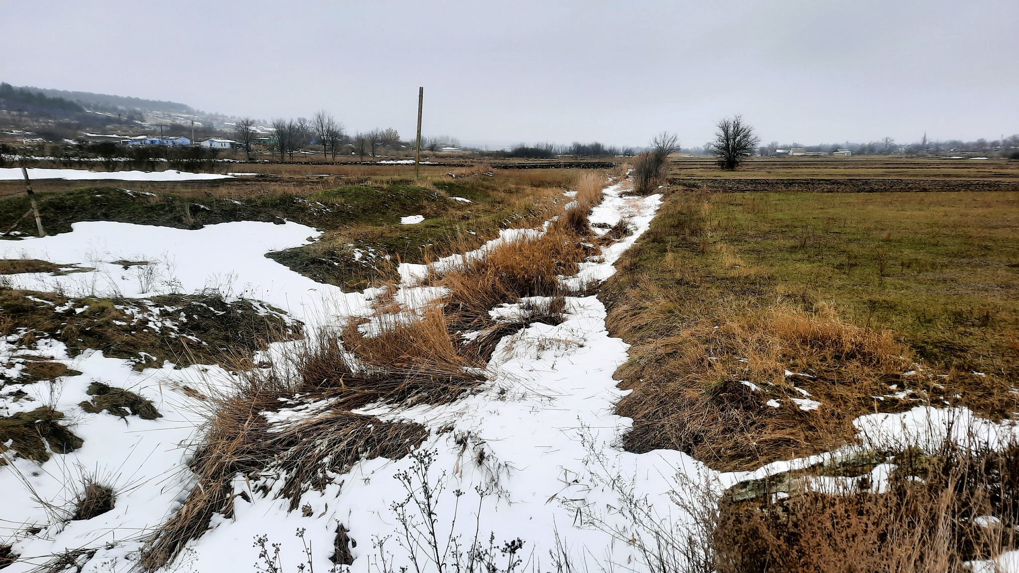Экологический кризис в Одесской области: Хаджибейский лиман пересыхает – что делают для его спасения