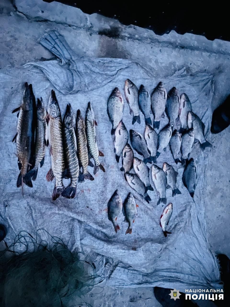 На Одещині продовжують працювати браконьєри: чергових поціновувачів рибалки у заборону вже затримано