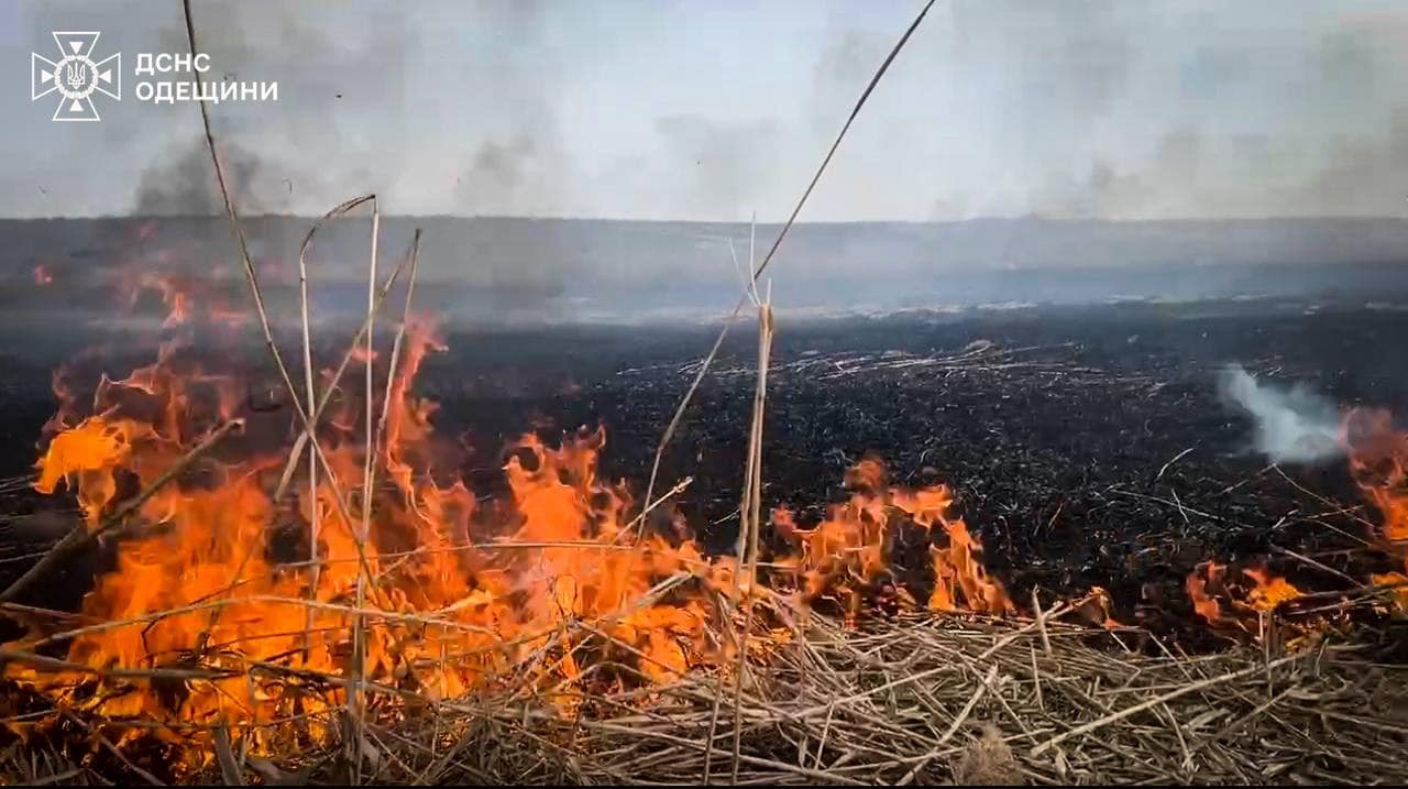 З початку місяця на Одещині пожежами знищено понад 60 гектарів землі
