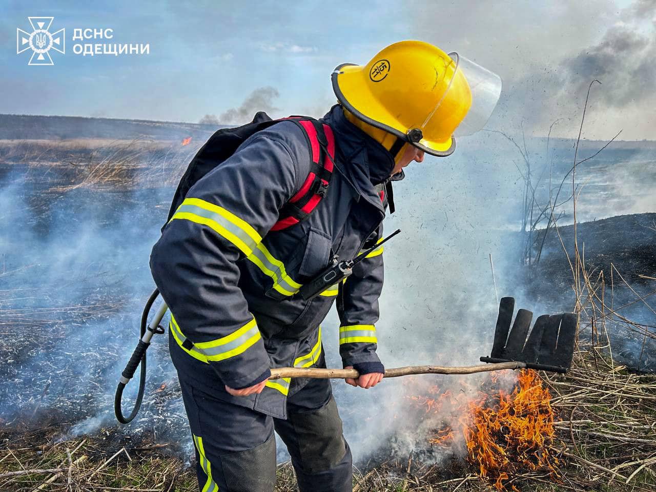С начала месяца в Одесской области пожарами уничтожено более 60 гектаров земли