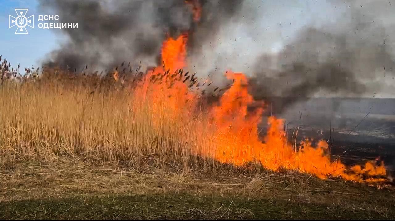 З початку місяця на Одещині пожежами знищено понад 60 гектарів землі