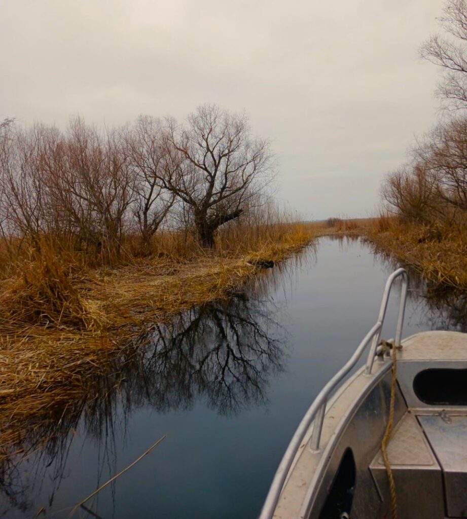 На одній з річок Одещини спостерігається різке падіння рівня води: чим це загрожує