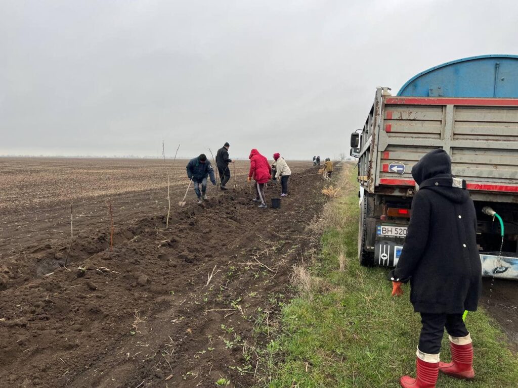 В Белгород-Днестровщине вдоль дороги между двумя селами высадили 200 саженцев деревьев