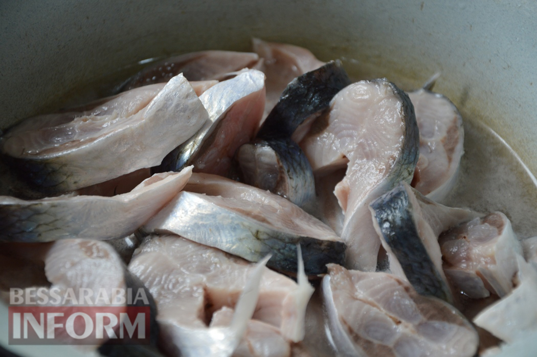 Особливості, ціноутворення та рецепти: у розпал сезону дунайського оселедця "Бессарабія INFORM" вирушила на риболовлю з фахівцями