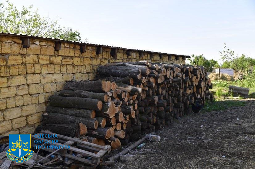 В Одесской области чиновник разрешил порубку леса на территории Национального парка, что нанесло убытки на 145 миллионов гривен