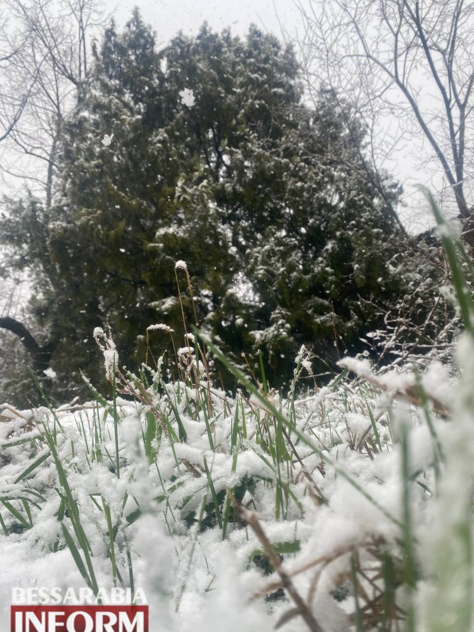 Зима повернулася до Арцизу. Наприкінці березня випав сніг