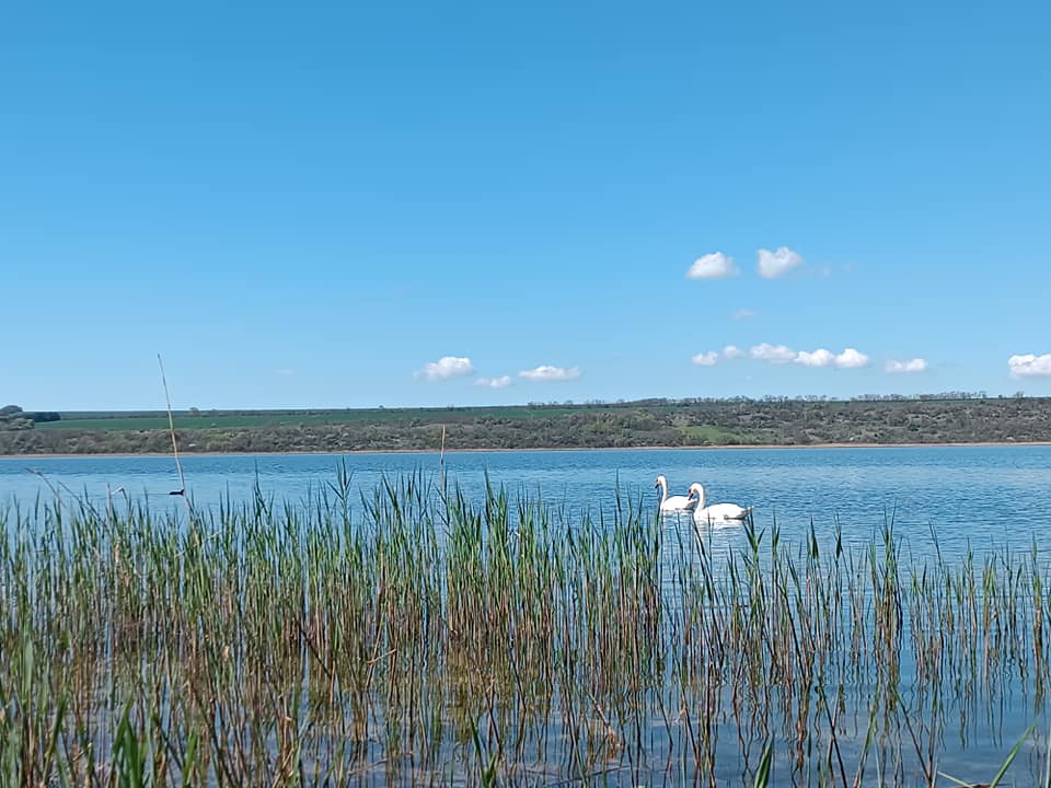 На березі озера Ялпуг в Болграді хочуть створити спортивно-туристичну локацію довжиною п'ять кілометрів: подробиці