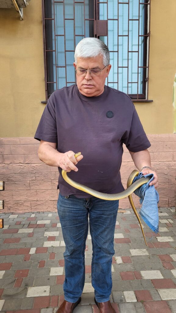 В Одесской области под многоэтажкой нашли редкую змею