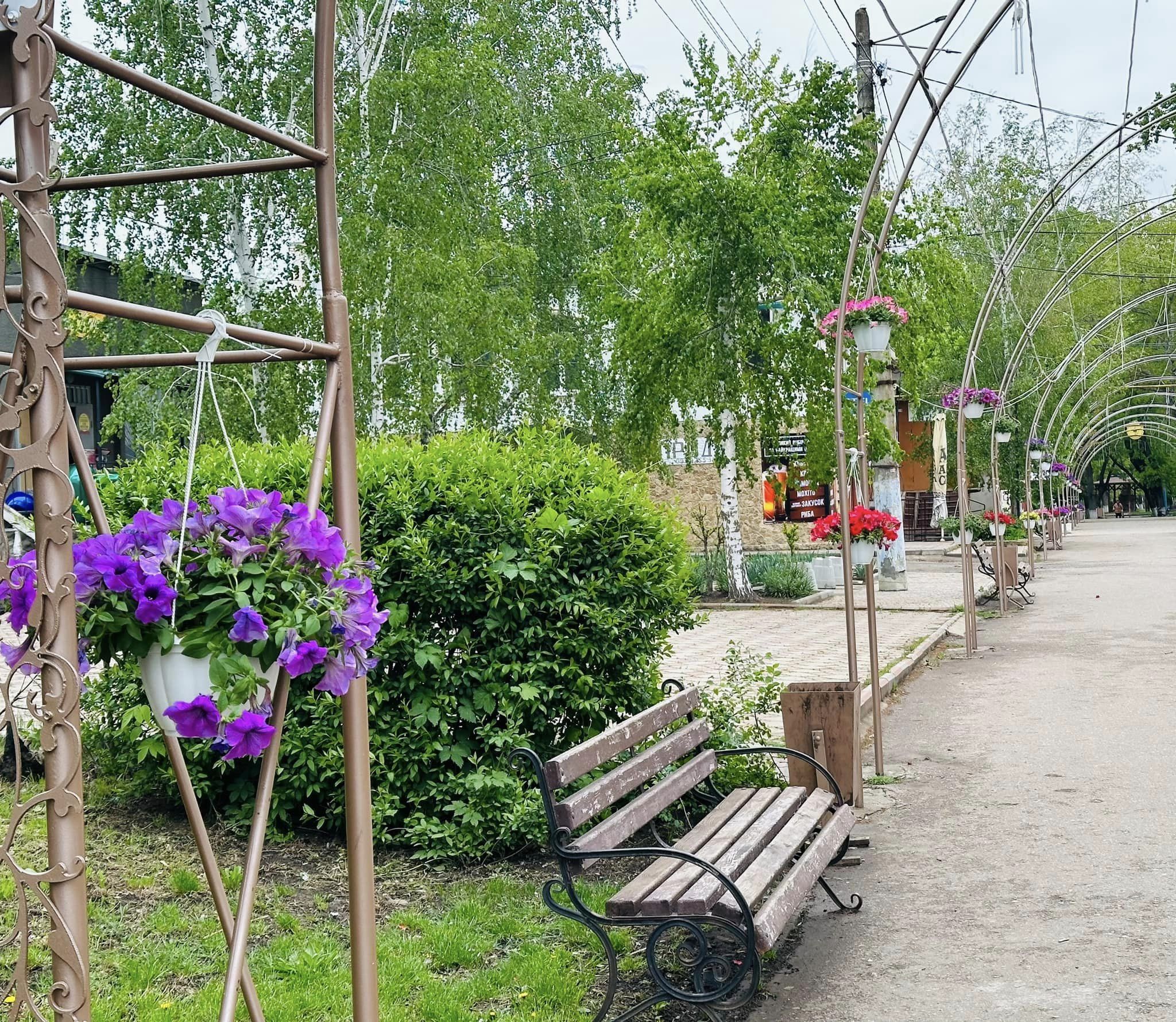 Квіти Перемоги та відродження України: у селищі Тарутине прикрасили центральну вулицю