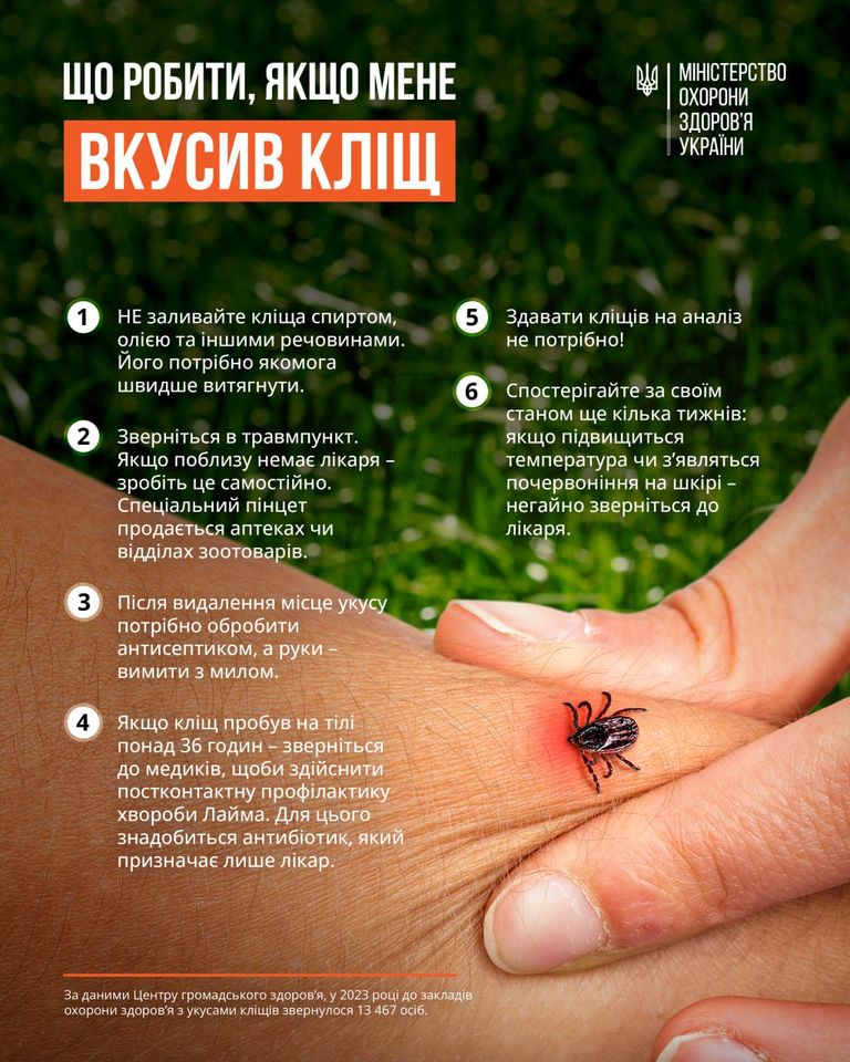 В Украине участились случаи укусов клещей