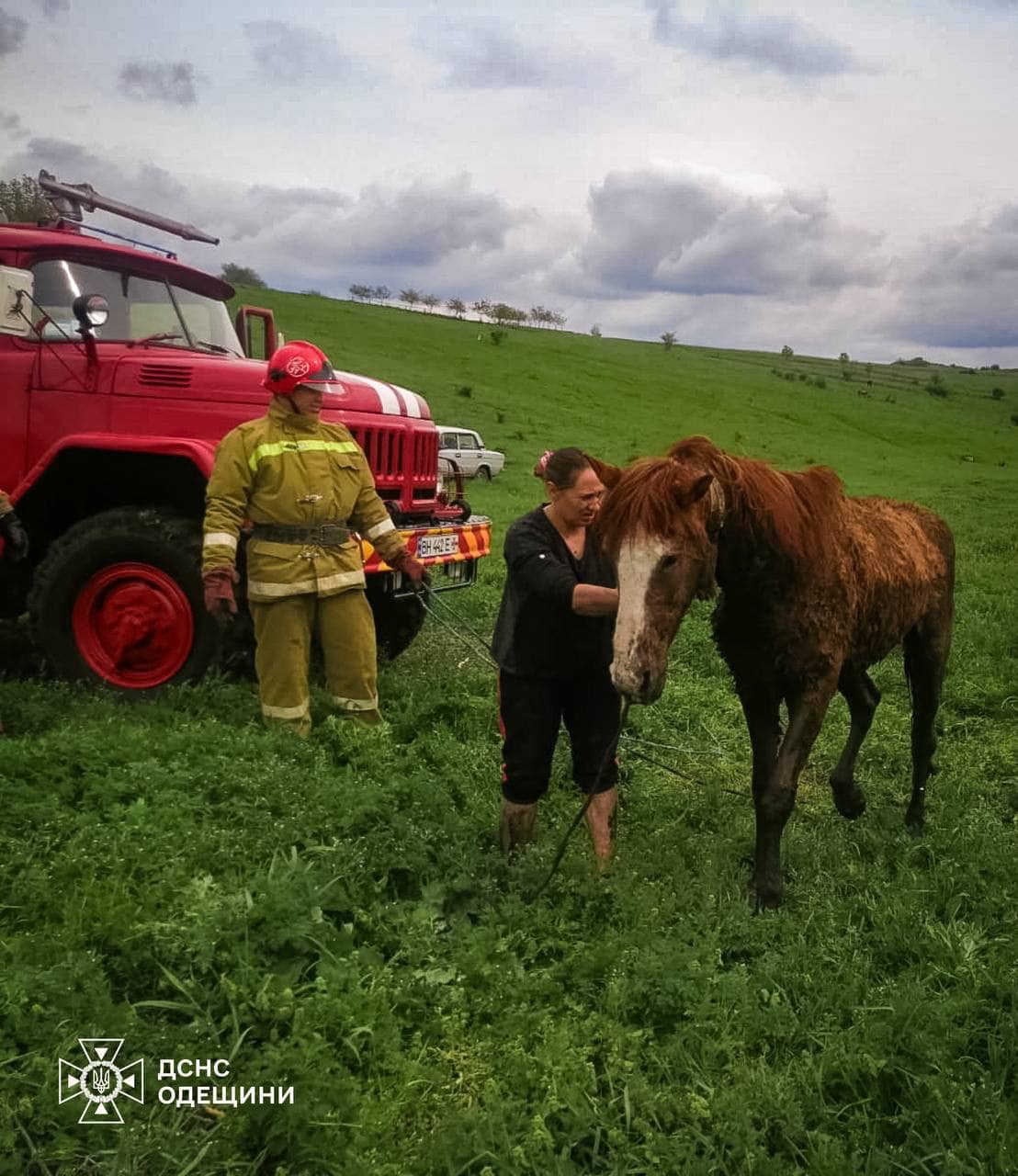 Рятувальникам з Одеської області довелось визволяти коня: деталі