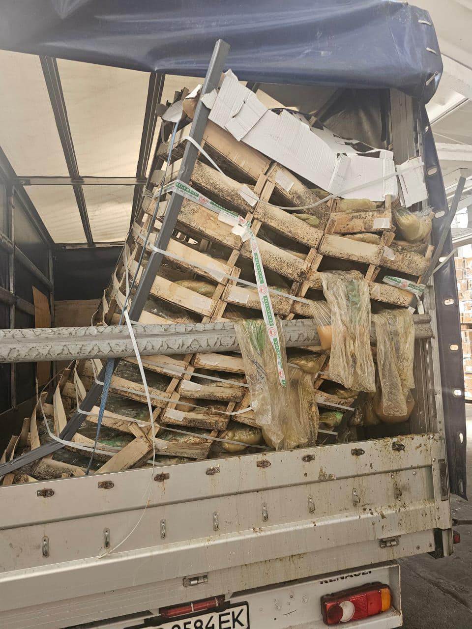 На Одещині знищили 850 кг кабачків ─ причини