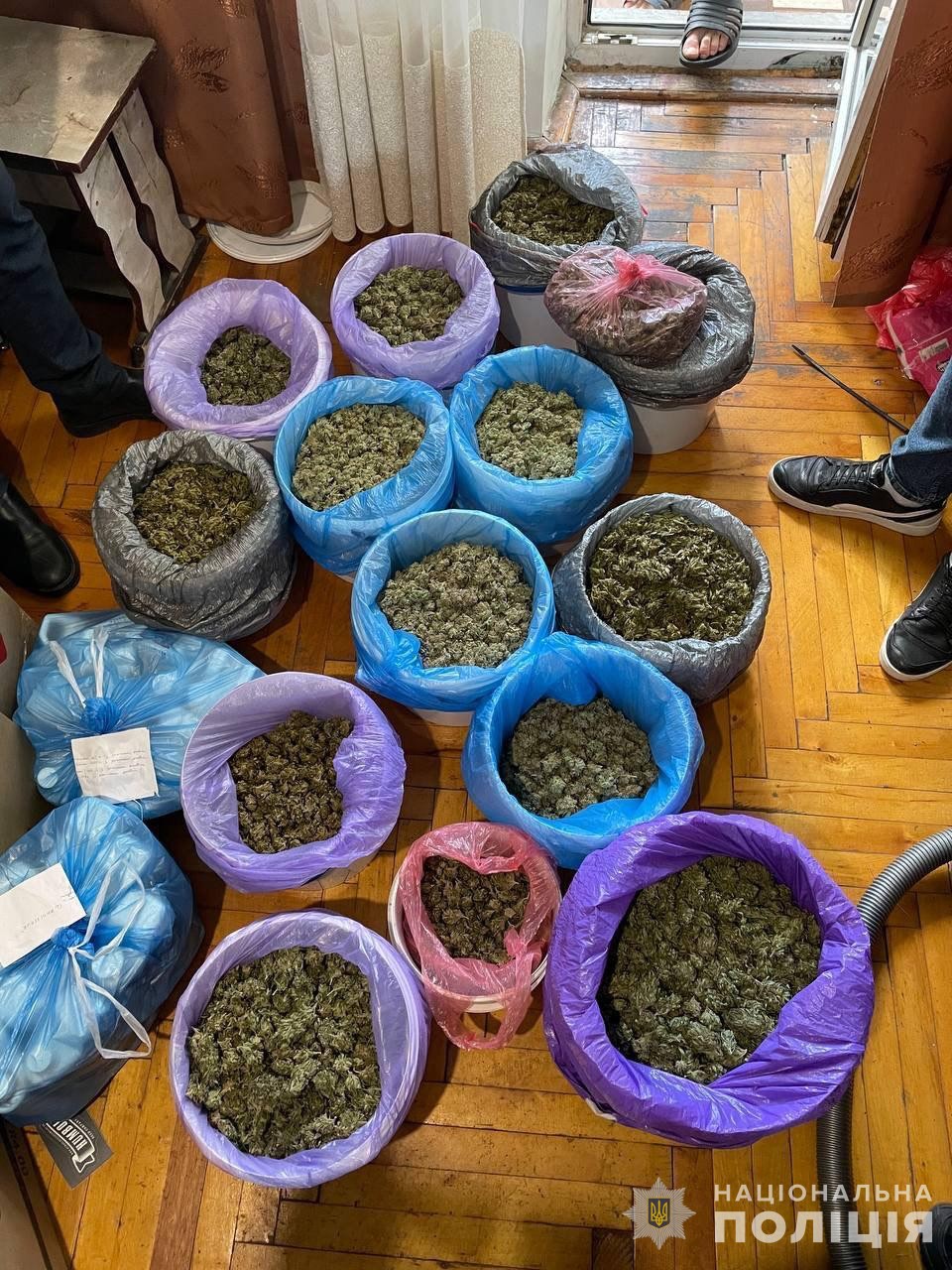 Нацполиция изъяла наркотики на 150 млн грн: Одесская область также была в сети наркодилеров