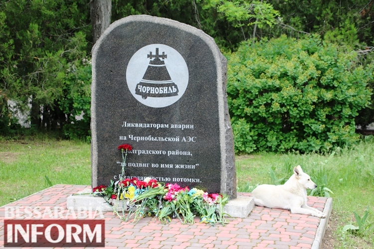 В Болграде почтили Героев-ликвидаторов Чернобыльской катастрофы