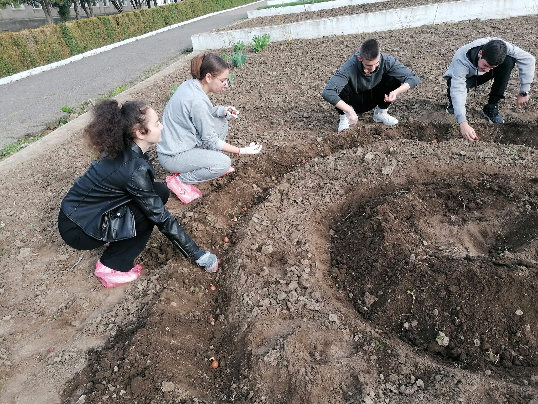 В селе Суворовской общины будущие выпускники лицея внесли свой вклад в высадке аллеи Победы