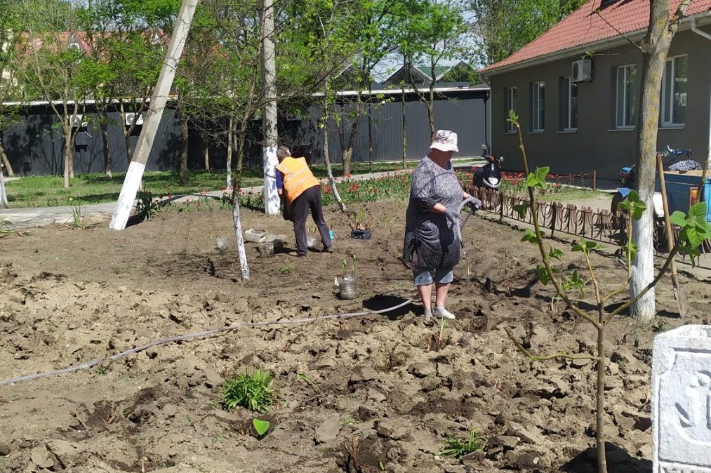 Городу Килия подарили более сотни саженцев деревьев из Ивано-Франковской и Черновицкой областей - производится высадка