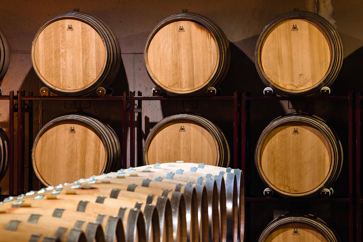 У Бородінській громаді  міжнародна компанія виготовлятиме вино з генетичним кодом