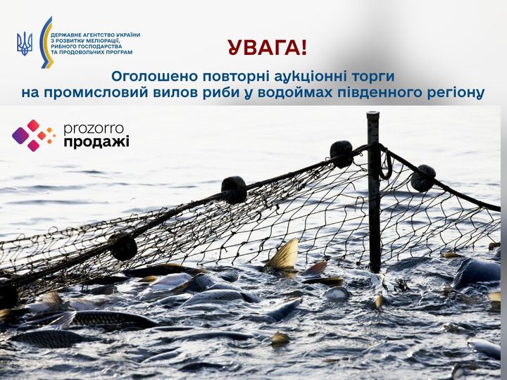 На Дунаї та Дністрі оголошено повторні аукціонні торги на промисловий вилов риби