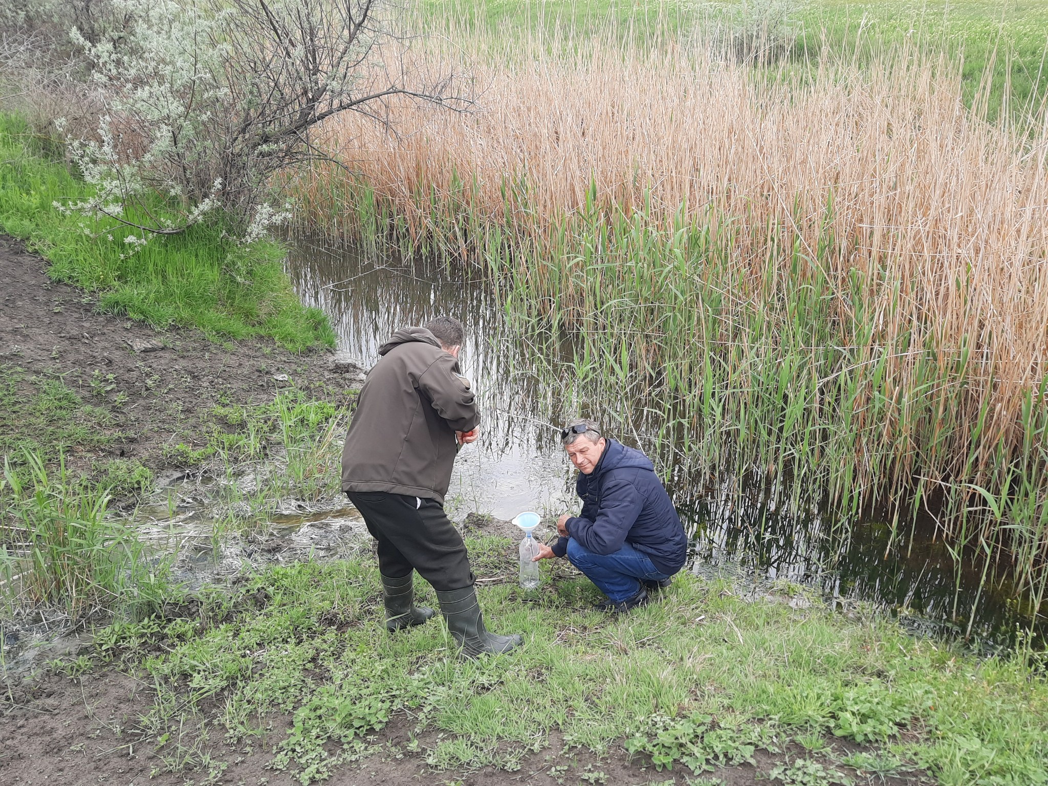 В Арцизькій громаді екологи виявили забруднення місцевої річки стічними водами