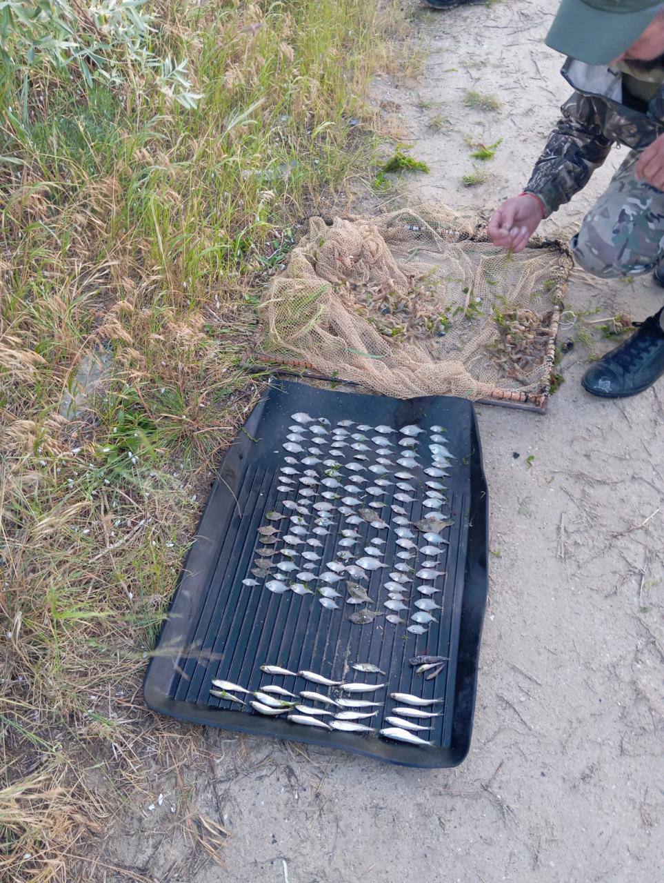 Риболовля на понад 5 мільйонів гривень: на заповідній території Одещини виявили браконьєра