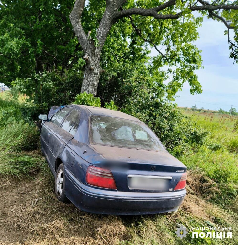 Злетів з дороги і протаранив дерево: у ДТП на Одещині загинув літній чоловік