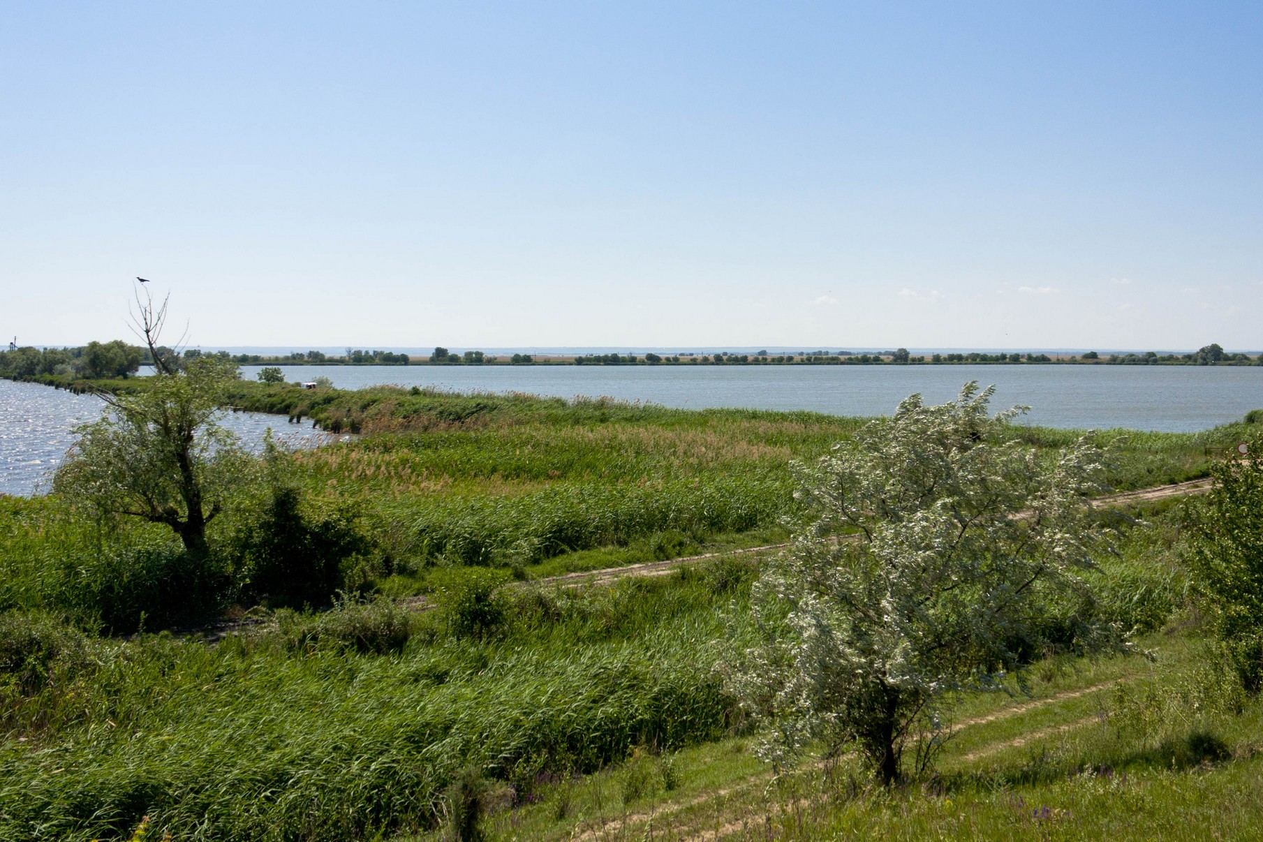 Україна та Молдова обговорили питання управління водними ресурсами в басейні Дністра в умовах зниження водності ─ Міндовкілля