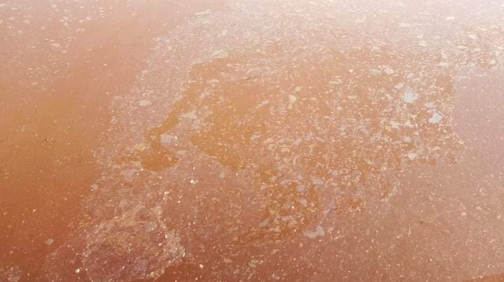 На деяких лиманах Бессарабії вода стала коричневого кольору: чи безпечне це явище