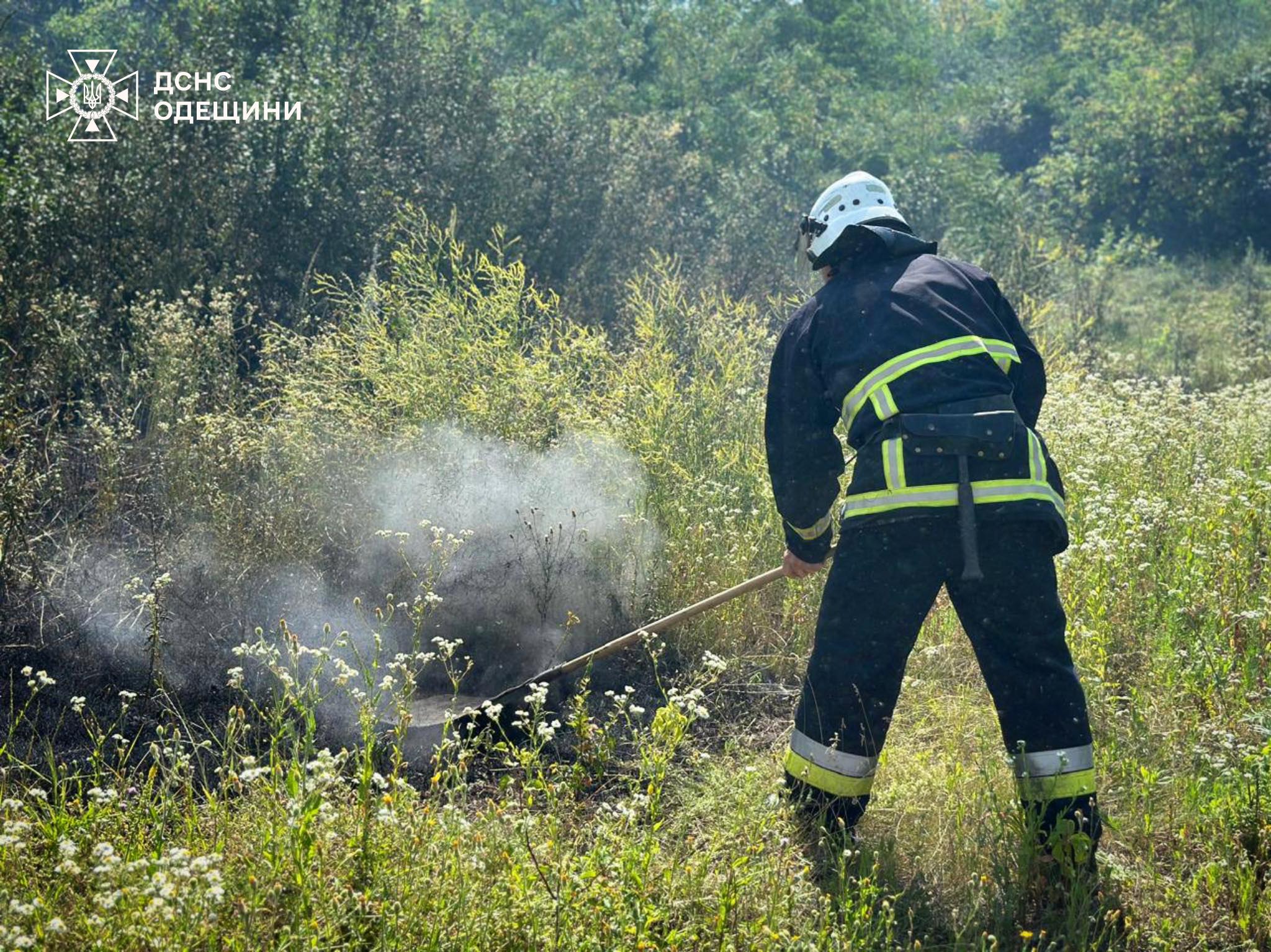 Від початку літа на Одещині трапилось більш ніж сім сотень пожеж