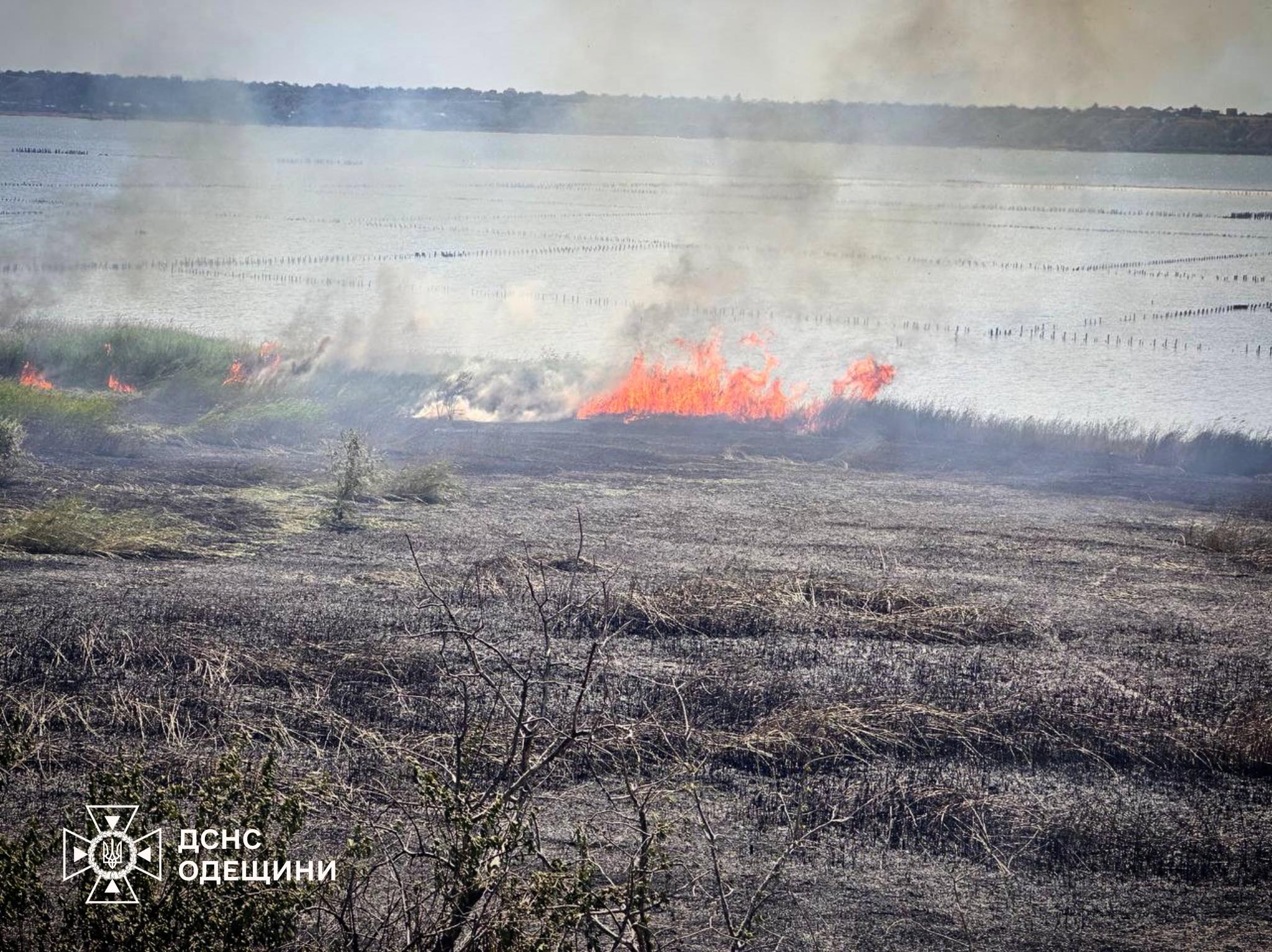 Від початку літа на Одещині трапилось більш ніж сім сотень пожеж