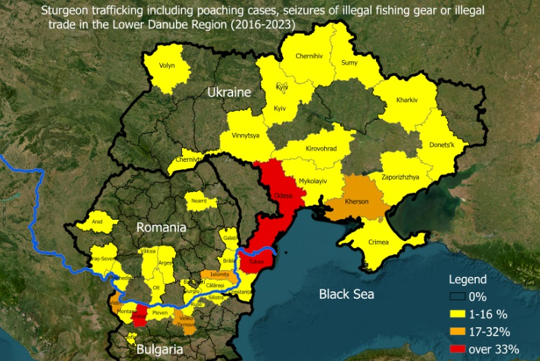 Осетрові в Нижньому Дунаї перебувають на межі зникнення: аналіз причин