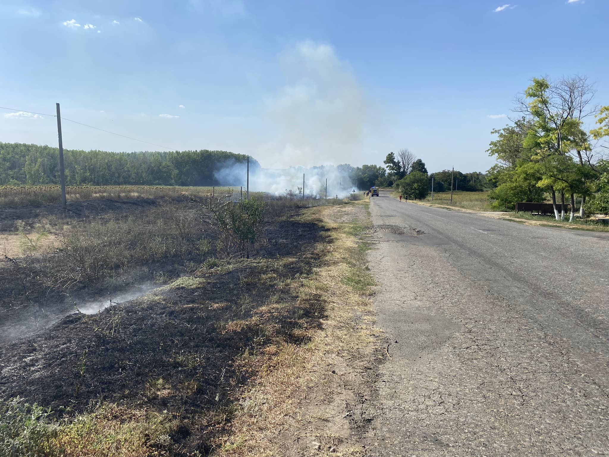 На Болградщині побільшало пожеж в екосистемах