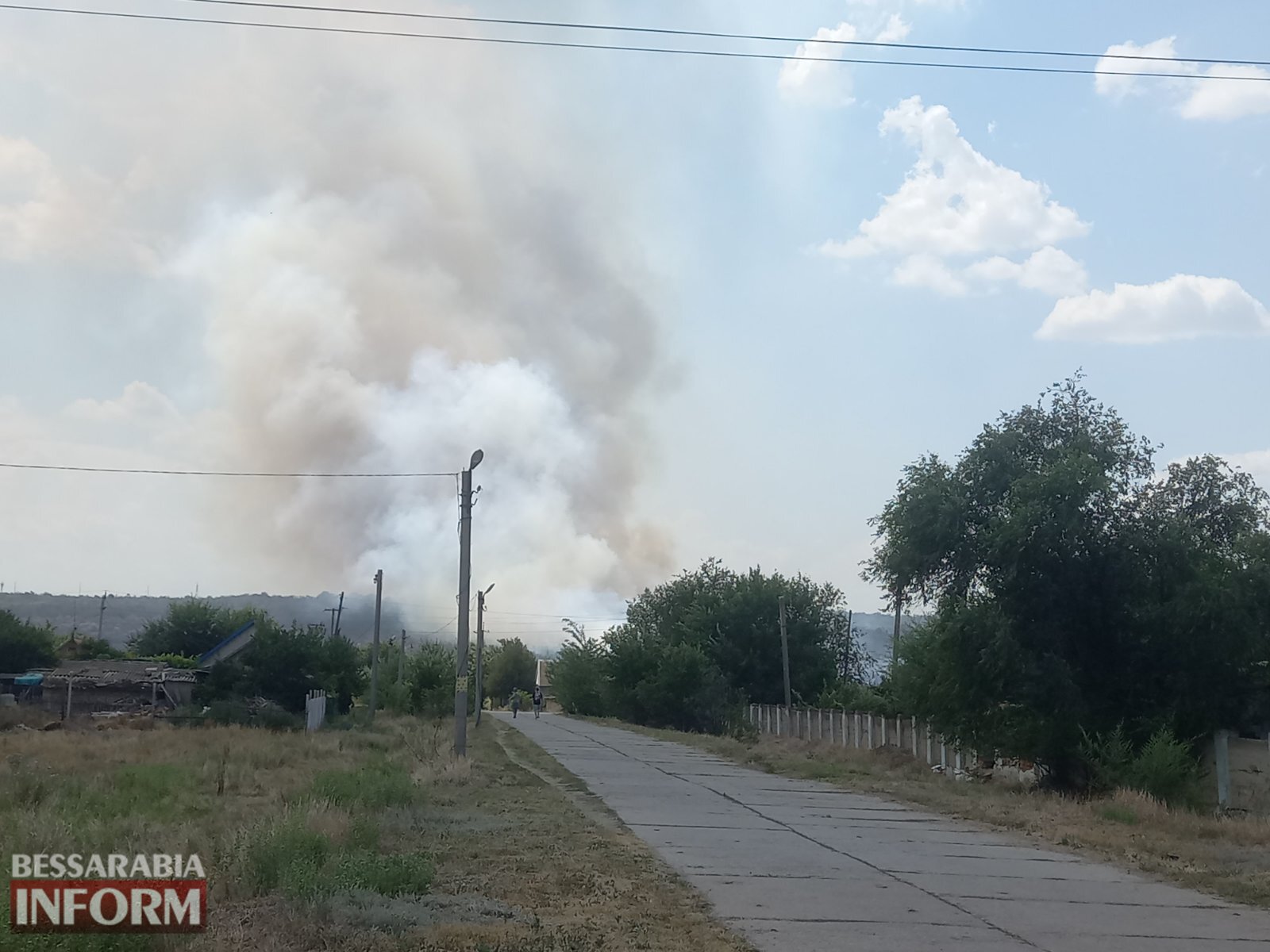 У селищі Болградського району сталася резонансна пожежа в лісі