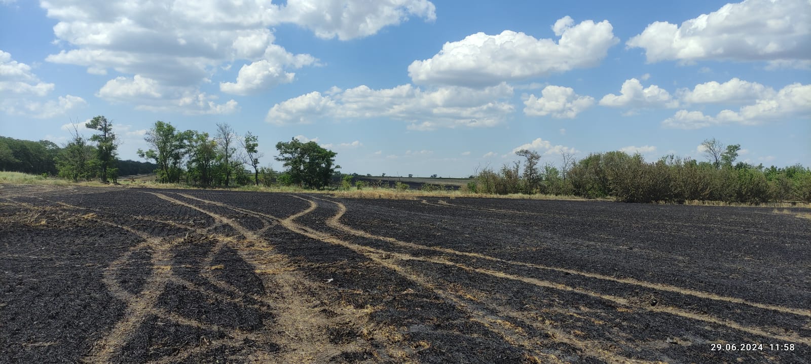 На Одещині через ворожу атаку в кінці червня зайнялося пшеничне поле: екологи підрахували збитки