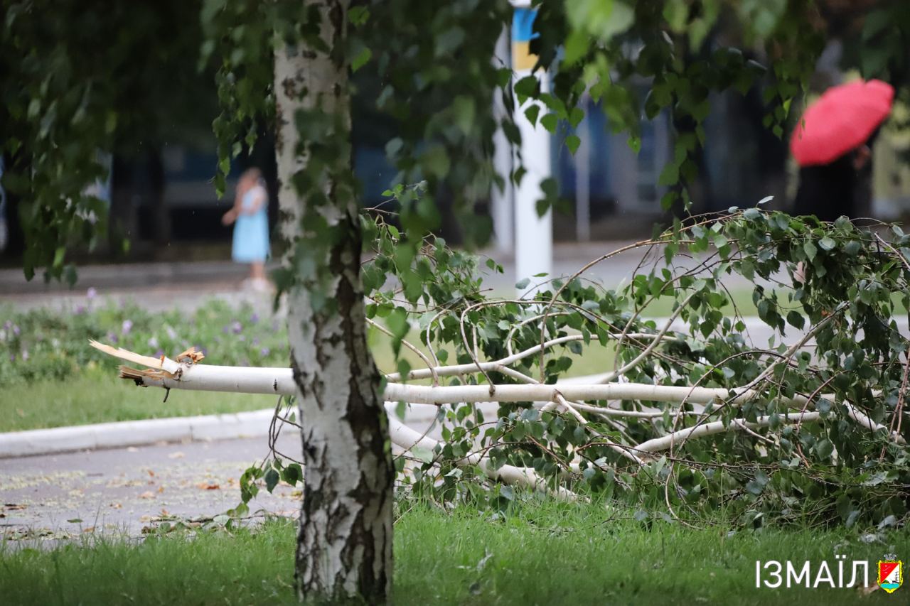 Потрощені дерева, "гірлянди" обірваних дротів та половина міста без світла - таким залишила після себе Ізмаїл сильна гроза