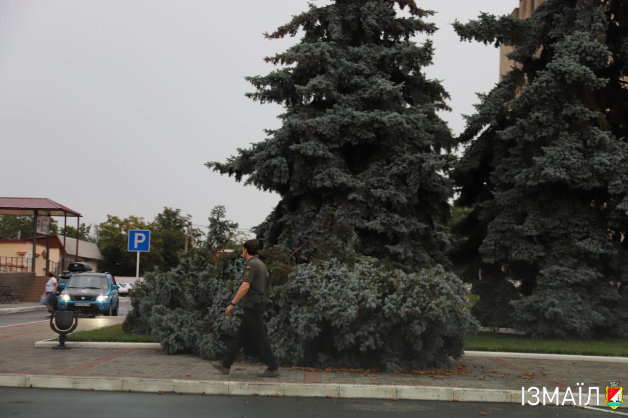 Потрощені дерева, "гірлянди" обірваних дротів та половина міста без світла - таким залишила після себе Ізмаїл сильна гроза