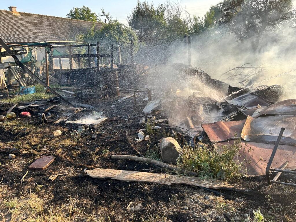 Вогонь з сухої трави перекинувся на будинок: стихійне полум'я наробило лиха на Білгород-Дністровщині