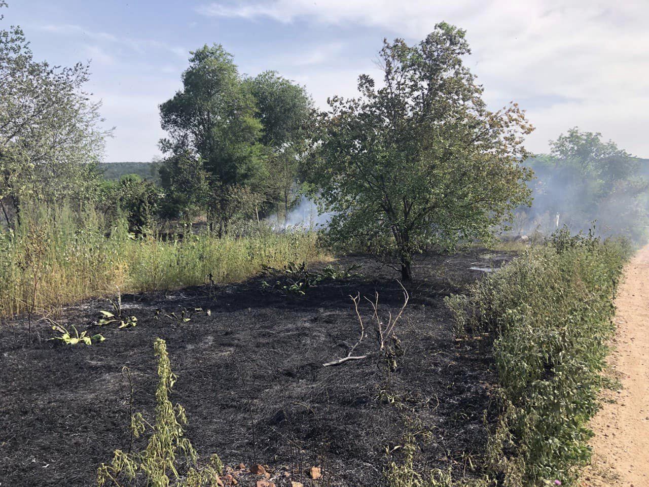 На Болградщині побільшало пожеж в екосистемах