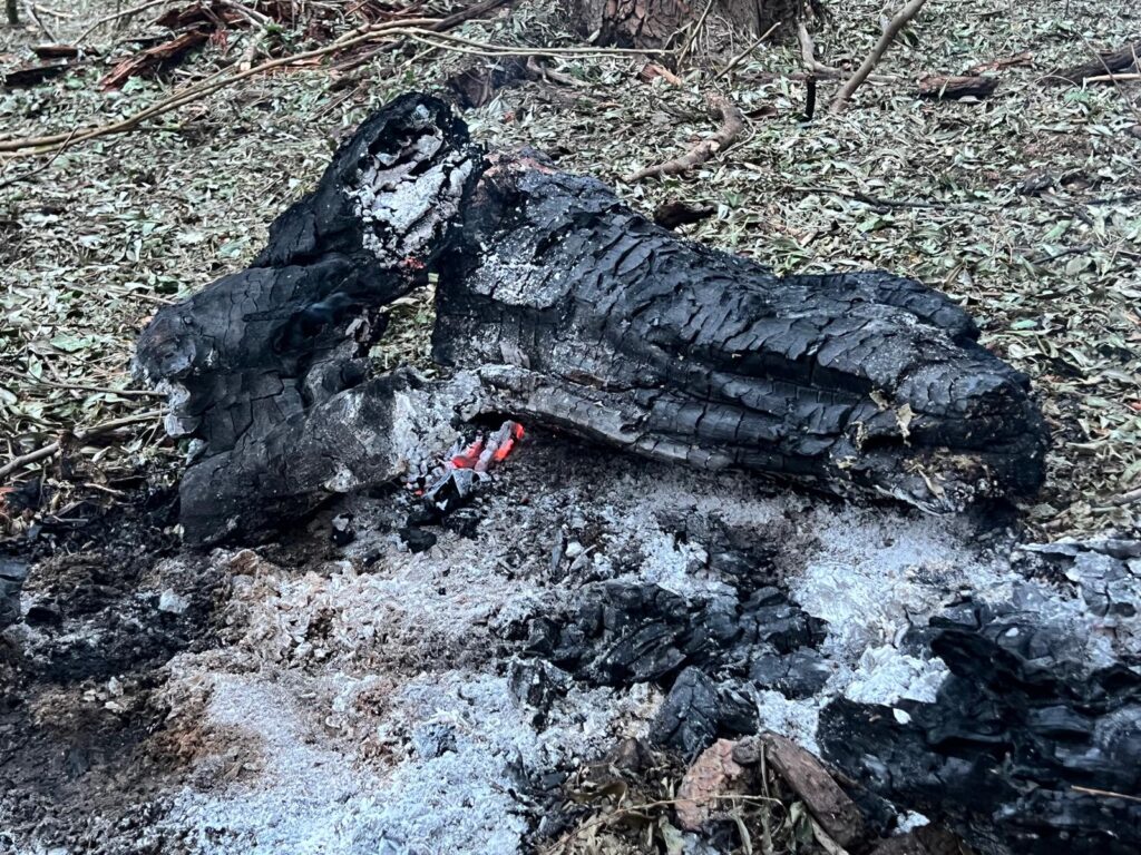 У МЗС Румунії підтвердили, що знайшли уламки "Шахедів" на своїй території