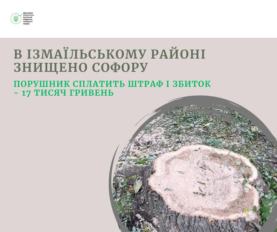 На Ізмаїльщині за одне знищене дерево порушник заплатить чималу суму