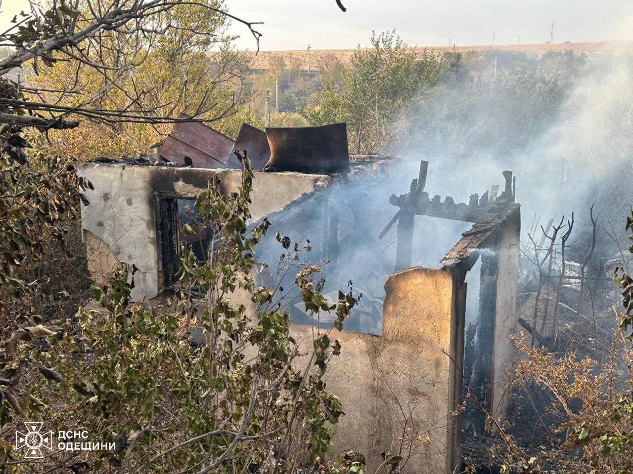 Масштабні пожежі сухої рослинності на Одещині: є постраждалі серед людей (фото)