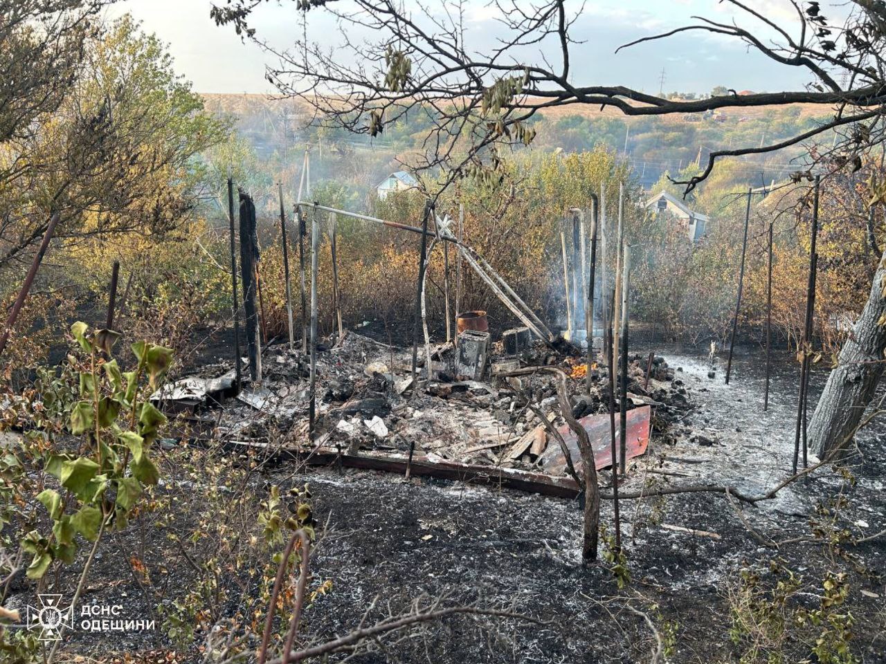 Масштабні пожежі сухої рослинності на Одещині: є постраждалі серед людей (фото)