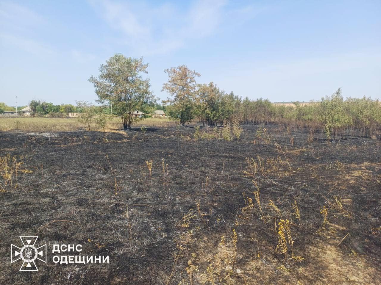 Мешканка Одещини напалила сухостій на тисячі гривень