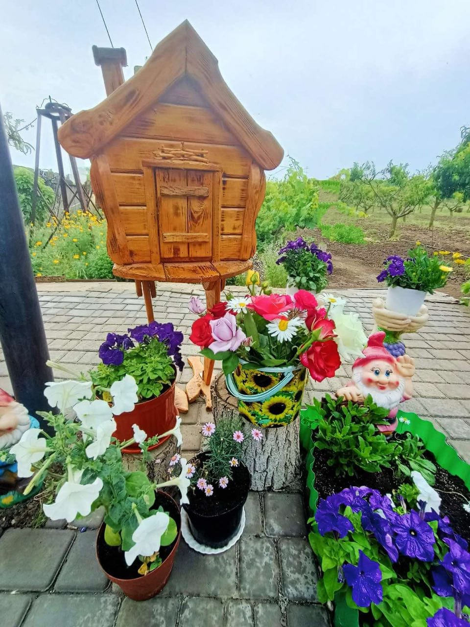 У селі Білгород-Дністровського району працює незвична туристична локація «Персикова хата»