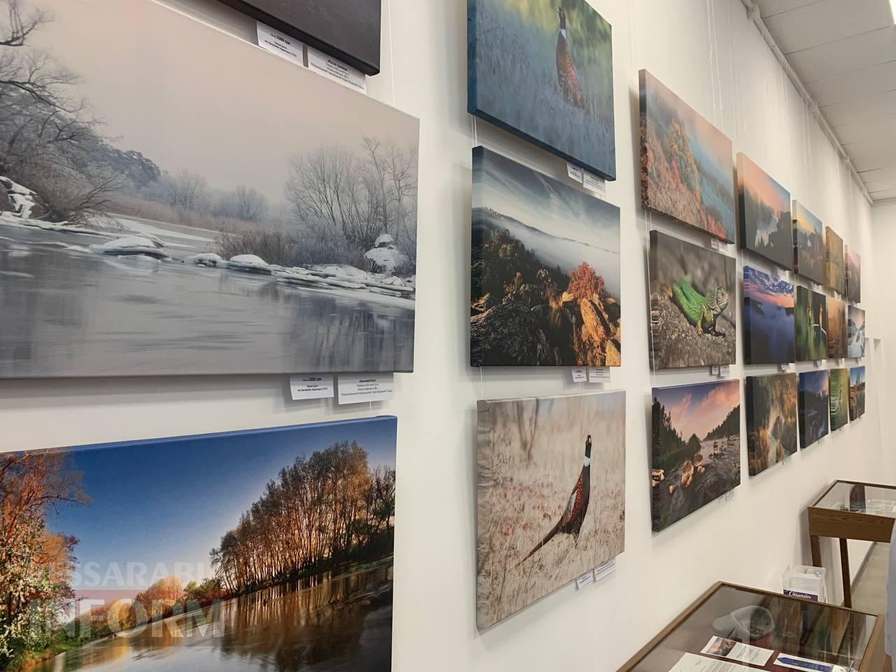 Входив у ТОП-100 фотографів світу: в Ізмаїлі недовго працюватиме унікальна фотовиставка загиблого на фронті Дениса Кривого