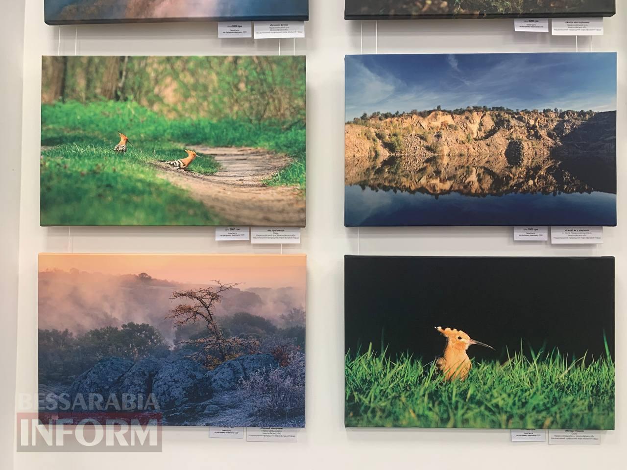 Входив у ТОП-100 фотографів світу: в Ізмаїлі недовго працюватиме унікальна фотовиставка загиблого на фронті Дениса Кривого