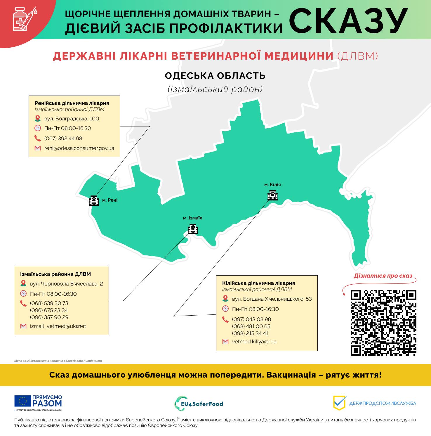 Мешканців Одещини закликають убезпечити домашніх улюбленців від сказу: де в Бессарабії проводять щеплення тваринам