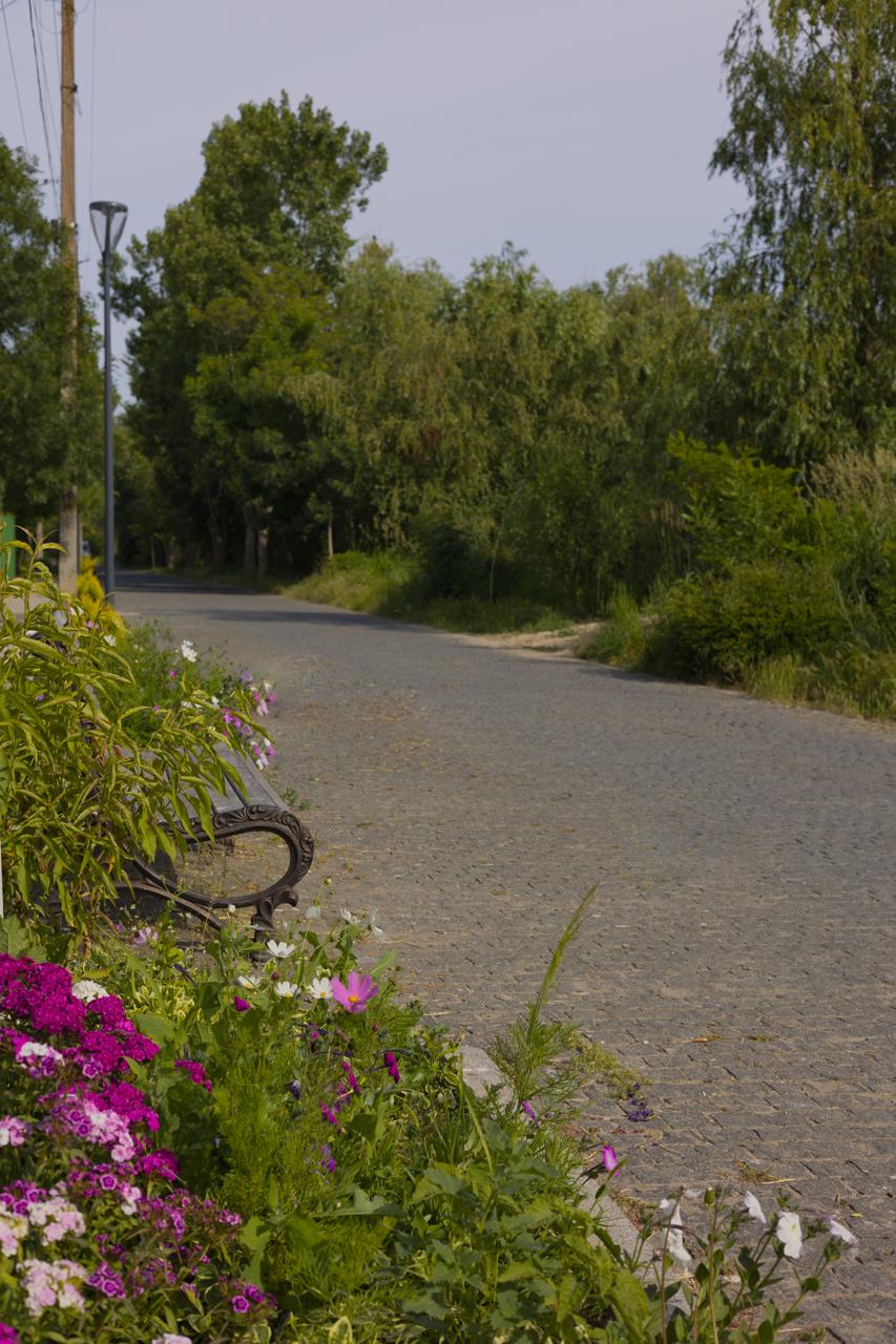 Активісти з Вилкового намагаються повернути місту туристичну привабливість, реалізуючи багатомільйонні проєкти