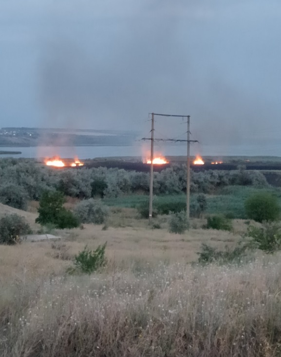 Як відновлюється Нижньодністровський нацпарк, угіддя якого знищила масштабна пожежа