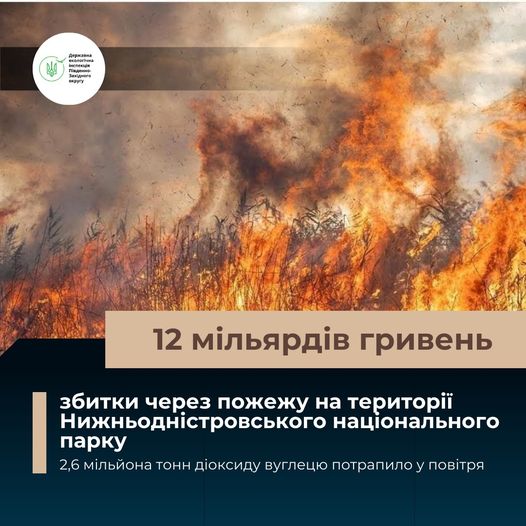 Розмір шкоди зашкалює: екологи розповіли про збитки від тижневої масштабної пожежі в Нижньодністровському нацпарку