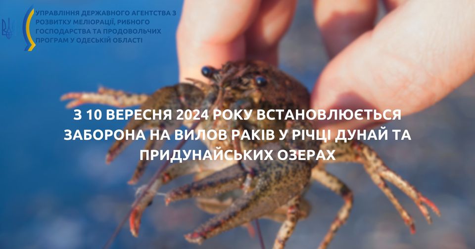 Незабаром розпочне діяти заборона на вилов раків у Дунаї – подробиці